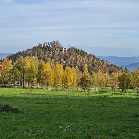 Rezydencja Green Hill - Ekskluzywny Dom W Karpaczu Exteriör bild