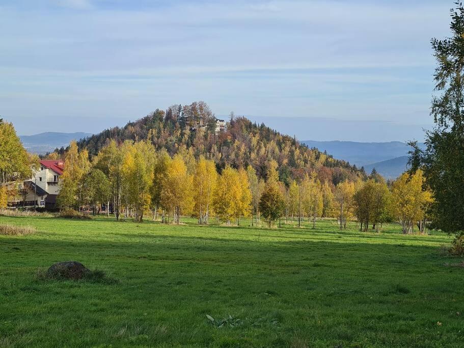 Rezydencja Green Hill - Ekskluzywny Dom W Karpaczu Exteriör bild
